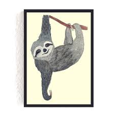 Print Faultier Faultier Sloth Illustration Tiere Malen Illustration Tiere Tiere