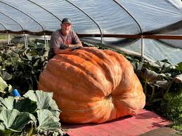 Image result for giant pumpkin