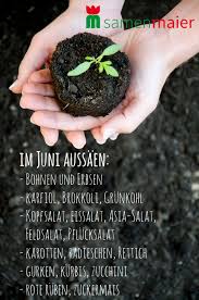 Wann ist der beste zeitpunkt, um tomaten. Gartenarbeiten Im Jahresuberblick Samen Maier