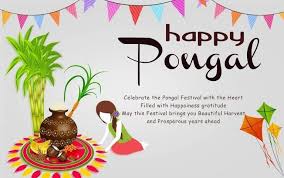 India A Country Of Festivals India2018 Pongal Happy Pongal Happy Pongal Wishes Happy Makar Sankranti Images
