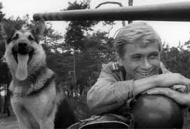 This series portrays the second world war from the perspective of a tank crew and their dog. Dokladnie 54 Lata Temu Widzowie Obejrzeli Pierwszy Odcinek Czterech Pancernych I Psa Pamietacie