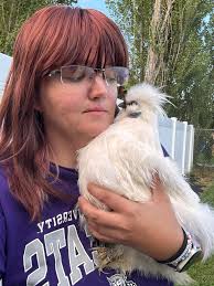 Silkie rooster for rehoming in Taneytown, MD