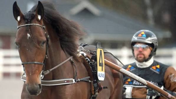 Francesco Zet signe une brillante rentrée | LETROT