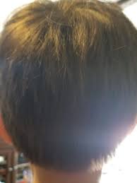 Book appointments on facebook with hair salon in bloomingdale, illinois. Hair Cuttery 29 Reviews Hair Salons 318 W Army Trail Rd Bloomingdale Il Phone Number Services Closed Yelp