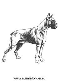 Kleine Hunde Bilder Zum Ausmalen