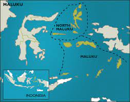 Most maluku islands hotels offer free cancellation. Maluku Down To Earth