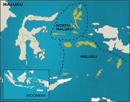 Definition of maluku in the definitions.net dictionary. Maluku Down To Earth