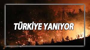 Osmaniye'nin hasanbeyli ilçesinde ve denizli'nin merkezefendi ilçesinde de bugün orman yangınları çıktı. Yyq2dlrosujt2m