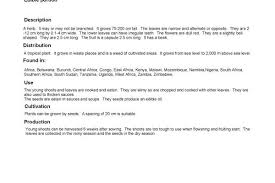 Image result for Sesamum calycinum