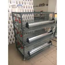 Bildircin Kafesi 3 Katli 500 00 Tl Ile N11 Com Da Afp All For Pets Kafes Standlari Fiyati Ve Ozellikleri Evcil Hayvan Urunleri Kate Bildircin Kafes Kumes