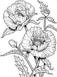 You can print out this poppy coloring page, but you can also color online. Poppies Coloring Pages Best Coloring Pages For Kids