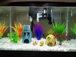 Aquarium Bikini Bottom Aquarium Real Plants Aquarium Fish