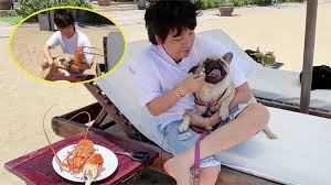 Ngô diệc phàm (giản thể: Chá»n Ä'á»•i Kiá»ƒu Toc Theo Ngoi Sao Ä'iá»‡n áº£nh Khoa Pug Nháº­n Vá» Nhiá»u Pháº£n á»©ng Báº¥t Ngá» Cá»§a Dan Máº¡ng