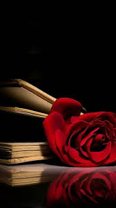 We did not find results for: Rose Love Wallpaper Download Mobcup