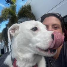 Профил за Pinebay Bertsgallery