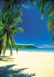 83 melhor ideia de Paisagem praia | paisagem praia, lindas paisagens, fotos  de paisagem