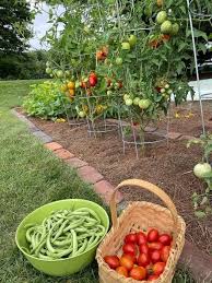 Why eat meat when you can this All Day🤔👁️💚💫🧘🏽‍♂️