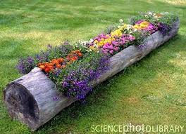 Des lames de terrasse pas cher sont disponibles dans toute la france ainsi que des lames composites pour vos vous êtes décidé à entreprendre l'aménagement de votre jardin pour en profiter pleinement pendant la belle saison. 12 Idees Simples Pratiques Et Tres Originales Pour Decorer Son Jardin Seloger