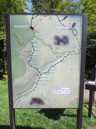 Other spots like worlds end state park and loyalsock state forest have amazing natural treasures to explore. Foto De Ricketts Glen State Park Benton Rickets Glen Trail Map Tripadvisor