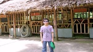 You could use your own backyard, but with restrictions. Piggery House Design In The Philippines See Description Youtube