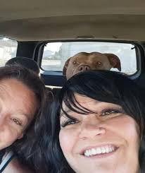 While at work I talk to them