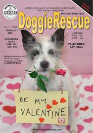 Der australian kelpie ist ein sehr aktiver und beweglicher hund. Doggierescue E Magazine February 2016 Neat Flip Ebook Pages 1 50 Anyflip Anyflip