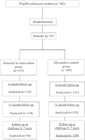 flow chart of the randomized clinical trial phases from