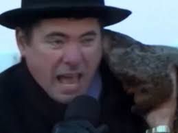 Groundhog Day: Watch hilarious moment weather-predicting woodchuck BITES  mayor's ear