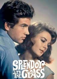 SPLENDOR IN THE GRASS 1961 Natalie Wood, Warren Beatty, Barbara Loden, Pat  Hingle, Audrey Christie, Fred Stewart, Zohra Lampert, John McGovern,  Phyllis Diller, Gary Lockwood, Sandy Dennis and Joanna Roos