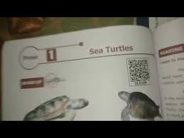 Build vocabulary, enhance spelling skills, work on problem solving, as well as general cognitive and. 6th Std 1st Term English Sea Turtles Book Back Question And Answer Matric Youtube
