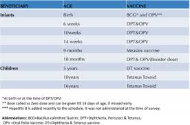 Internet Scientific Publications