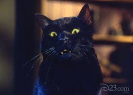 Hocus Pocus Filme Pesquisa Google Hocus Pocus Disney S Three Witches