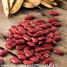 We have kidney beans suppliers that will provide you premium quality kidney beans in unlimited quantity. Dwarf Kidney Bean Seeds Phaseolus Vulgaris Garden Seeds Market Free Shipping