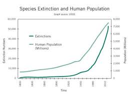 Extinctionandpopulation 102609 Species Extinction Human Overpopulation Extinction