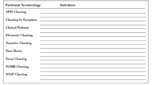 list the primary documentation charting formats used