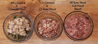 How To Transition Cats To A Raw Meat Diet Know Better Pet Food Raw Cat Food Recipes Raw Dog Food Recipes Raw Cat Food Diet