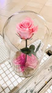 Forever flowers home © →. Pink Forever Enchanted Rose Enchanted Rose Florist Derby