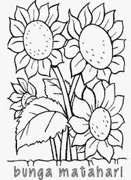 11 gambar bunga matahari hitam putih untuk kolase foto pemandangan hd bunga menggambar bunga gambar for more information and source, see on this link : 93 Gambar Bunga Matahari Kartun Hitam Putih Cikimm Com