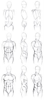 See more ideas about body anatomy, human anatomy, anatomy reference. 20 How To Draw Body Shapes Step By Step Harunmudak
