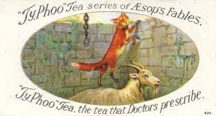 Image result for Fox and goat