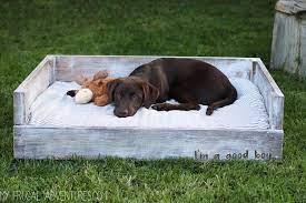 Maybe you would like to learn more about one of these? 19 Adorable Diy Dog Beds How To Make A Cute Cheap Pet Bed