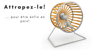 Réduire ou diminuer les mo godans la videodurant la 1ère à. Sacre Hamster Qui Tourne Et Qui Prend Toute La Place