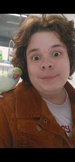 Seeking Active Neighbors for Taonga Island Farm Game