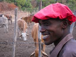 Travel — Paul Cheever