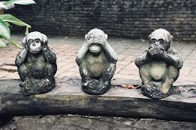 You can download best monkey desktop backgrounds. Three Wise Monkey Pictures Download Free Images On Unsplash