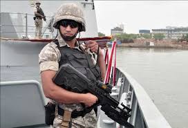 Image result for indian naval power 2015