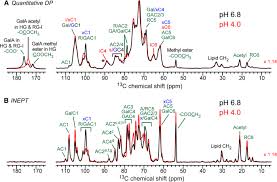 Where would you expect to find proteins which of the following organelles is to show enhanced abundance in pancreatic cells that secrete. Impact Of Acidic Ph On Plant Cell Wall Polysaccharide Structure And Dynamics Insights Into The Mechanism Of Acid Growth In Plants From Solid State Nmr Springerlink