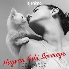 Turkiye Nin Ilk Hayvan Haber Sitesi Hayvan