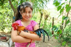 Publicamos personas y personalidades de el salvador, con el fin de informar. El Salvador Facts Compassion International