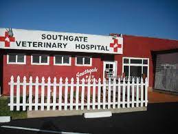 Home Page Veterinary Hospital Veterinary Southgate
